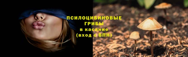 амф Белокуриха