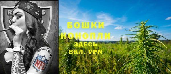эйфоретик Белоозёрский