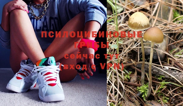 амф Белокуриха