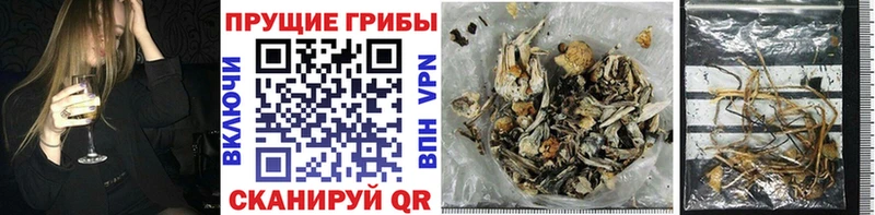 Псилоцибиновые грибы MAGIC MUSHROOMS купить наркотик Красково